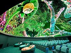 みなとみらいPRセンターのプレスリリース画像3