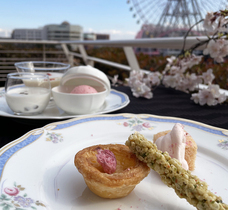 みなとみらいPRセンターのプレスリリース画像2