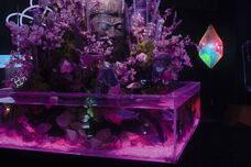 みなとみらいPRセンターのプレスリリース画像5