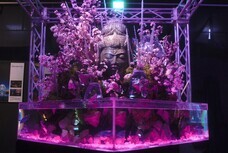 みなとみらいPRセンターのプレスリリース画像6