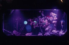 みなとみらいPRセンターのプレスリリース画像3