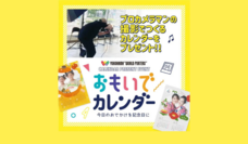 みなとみらいPRセンターのプレスリリース画像2