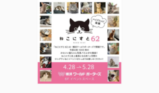 みなとみらいPRセンターのプレスリリース画像1