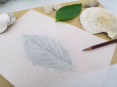 みなとみらいPRセンターのプレスリリース画像4