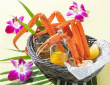 みなとみらいPRセンターのプレスリリース画像2