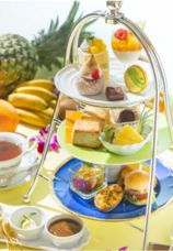 みなとみらいPRセンターのプレスリリース画像1