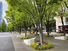 みなとみらいPRセンターのプレスリリース画像1