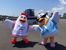 みなとみらいPRセンターのプレスリリース画像6