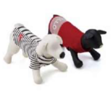 みなとみらいPRセンターのプレスリリース画像16