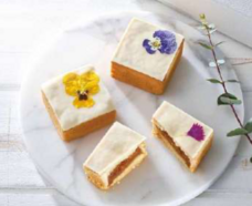 みなとみらいPRセンターのプレスリリース画像8