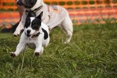 みなとみらいPRセンターのプレスリリース画像1