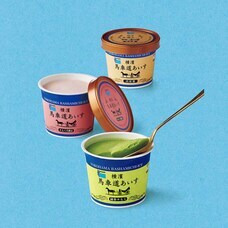 みなとみらいPRセンターのプレスリリース画像6