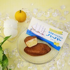 みなとみらいPRセンターのプレスリリース画像2