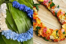 みなとみらいPRセンターのプレスリリース画像1