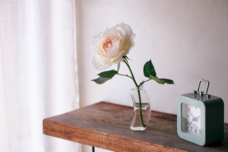 みなとみらいPRセンターのプレスリリース画像5