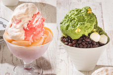 みなとみらいPRセンターのプレスリリース画像5