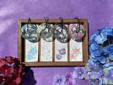 みなとみらいPRセンターのプレスリリース画像2