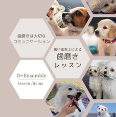 みなとみらいPRセンターのプレスリリース画像6