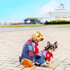 みなとみらいPRセンターのプレスリリース画像2