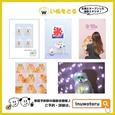 みなとみらいPRセンターのプレスリリース画像7