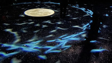 みなとみらいPRセンターのプレスリリース画像3