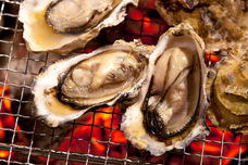 みなとみらいPRセンターのプレスリリース画像5