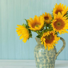 みなとみらいPRセンターのプレスリリース画像4