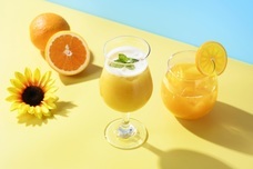 みなとみらいPRセンターのプレスリリース画像6