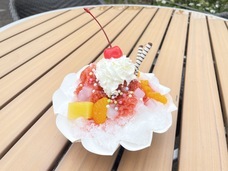 みなとみらいPRセンターのプレスリリース画像15