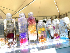 みなとみらいPRセンターのプレスリリース画像17