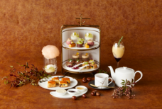 みなとみらいPRセンターのプレスリリース画像1