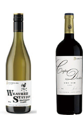 みなとみらいPRセンターのプレスリリース画像11