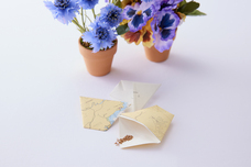 みなとみらいPRセンターのプレスリリース画像1