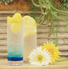 みなとみらいPRセンターのプレスリリース画像1