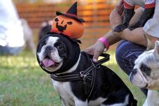 みなとみらいPRセンターのプレスリリース画像1