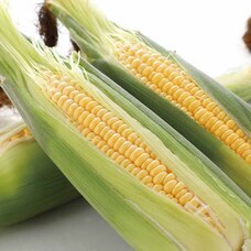 みなとみらいPRセンターのプレスリリース画像5