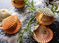 みなとみらいPRセンターのプレスリリース画像5