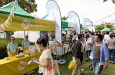 みなとみらいPRセンターのプレスリリース画像7