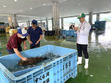 みなとみらいPRセンターのプレスリリース画像4