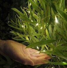 みなとみらいPRセンターのプレスリリース画像2