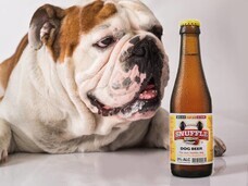 みなとみらいPRセンターのプレスリリース画像3