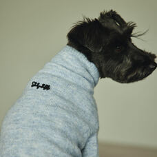 みなとみらいPRセンターのプレスリリース画像5