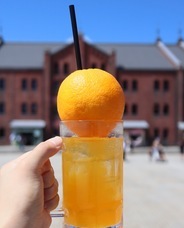 みなとみらいPRセンターのプレスリリース画像15