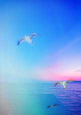 みなとみらいPRセンターのプレスリリース画像2