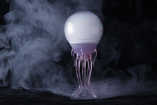 みなとみらいPRセンターのプレスリリース画像6