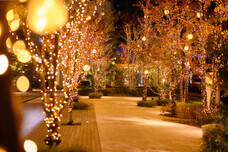 みなとみらいPRセンターのプレスリリース画像2