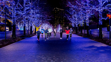 みなとみらいPRセンターのプレスリリース画像5