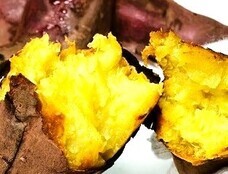 みなとみらいPRセンターのプレスリリース画像6