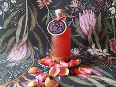 みなとみらいPRセンターのプレスリリース画像4