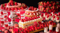 みなとみらいPRセンターのプレスリリース画像3